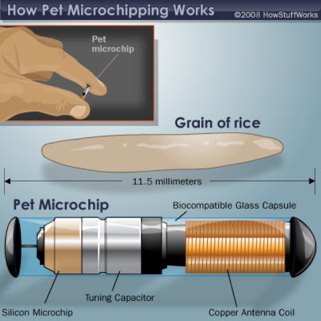 how microchips work